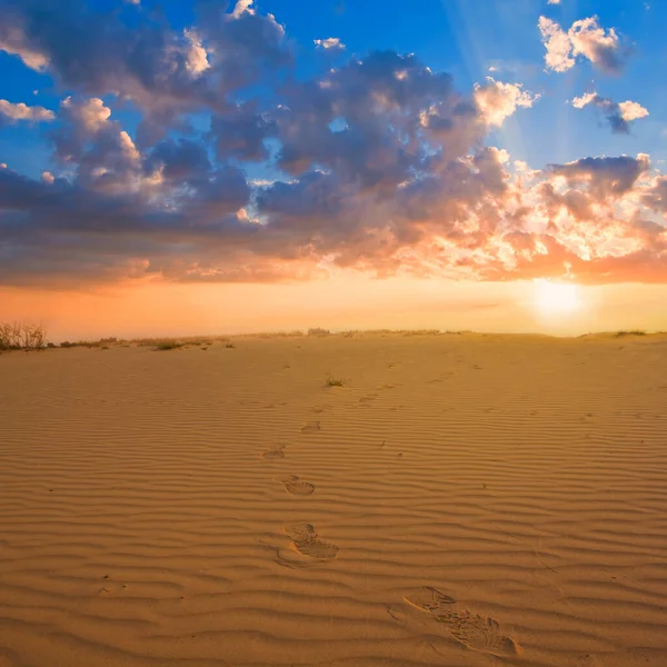 日没時に人間の足跡のある広い砂漠 — ストック写真