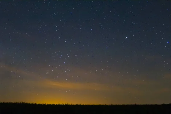 Noche Cielo Estrellado Sobre Silueta Pradera — Foto de Stock