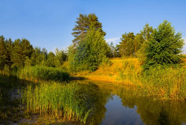 Маленькое Спокойное Озеро Лесу — стоковое фото