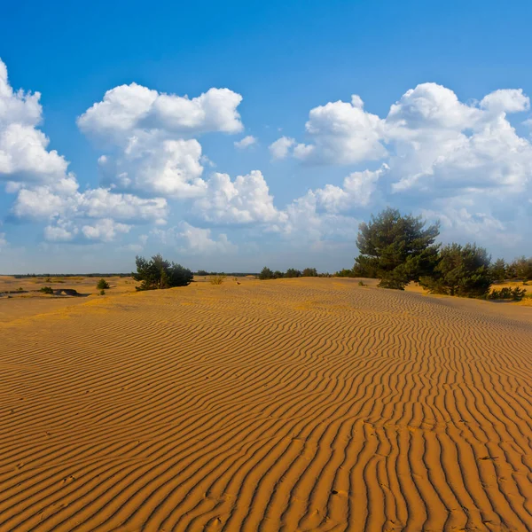Ampio Deserto Sabbioso Sotto Cielo Blu Con Nuvole Cumulus — Foto Stock