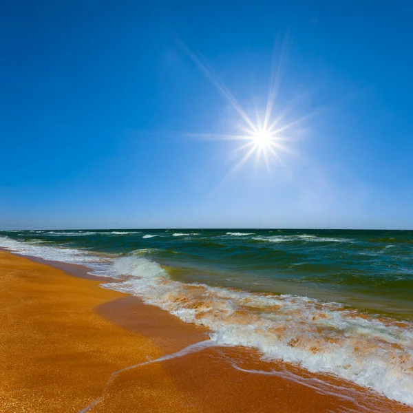 Písečná Mořská Pláž Pod Jiskřícím Sluncem Modré Obloze — Stock fotografie