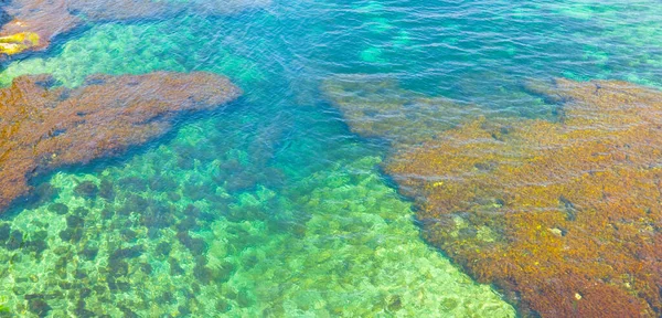Closeup Emerald Sea Bay Summer Sea Background — Stock Photo, Image