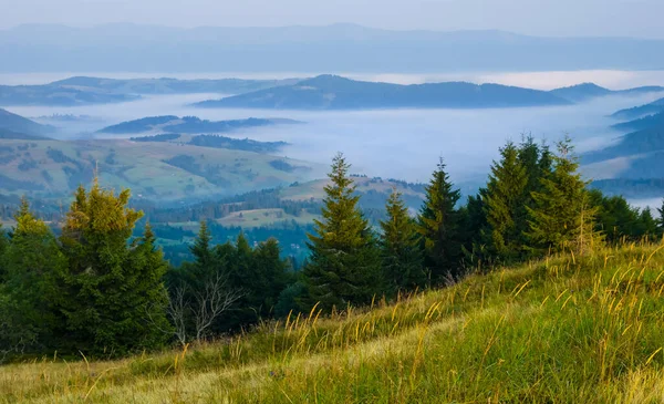 Časné Ráno Zelené Horské Údolí Modré Mlze — Stock fotografie