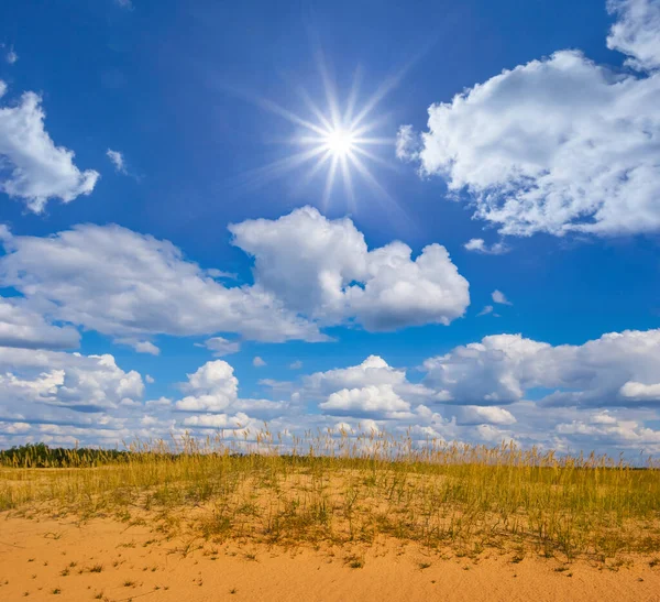 輝く太陽の下の砂の草原 — ストック写真