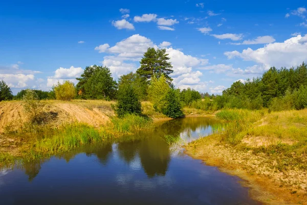 Small Lake Forest Glade Summer Natural Landscape — Stock Photo, Image