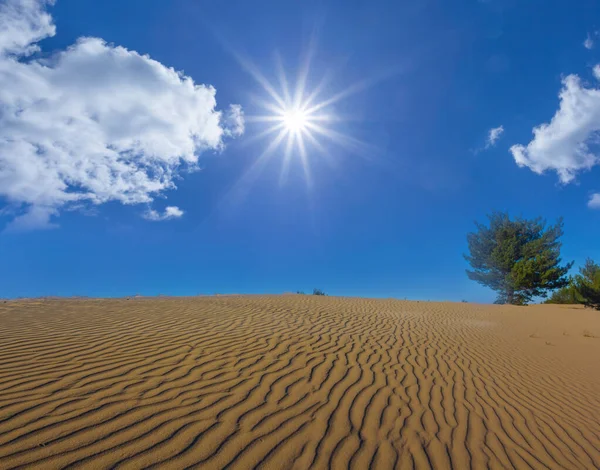 Desierto Arenoso Caluroso Verano Día Soleado —  Fotos de Stock