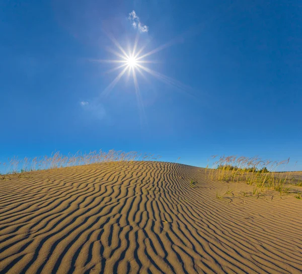Песчаная Пустыня Жаркий Летний Солнечный День — стоковое фото