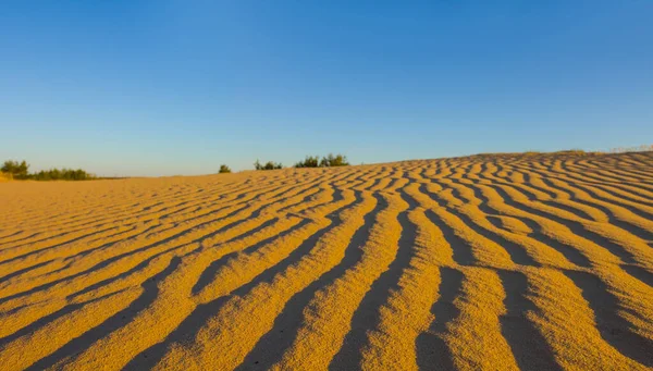 Крупный План Песчаной Пустыни Жаркий Летний День — стоковое фото