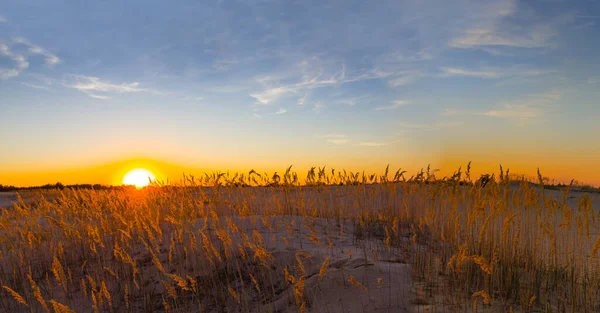 Amplia Pradera Arenosa Atardecer Verano Noche Escena Aire Libre — Foto de Stock