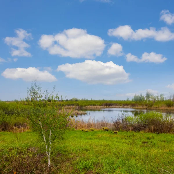 Malé Klidné Jezero Mezi Zelenou Pláň Krásné Letní Venkovní Scény — Stock fotografie