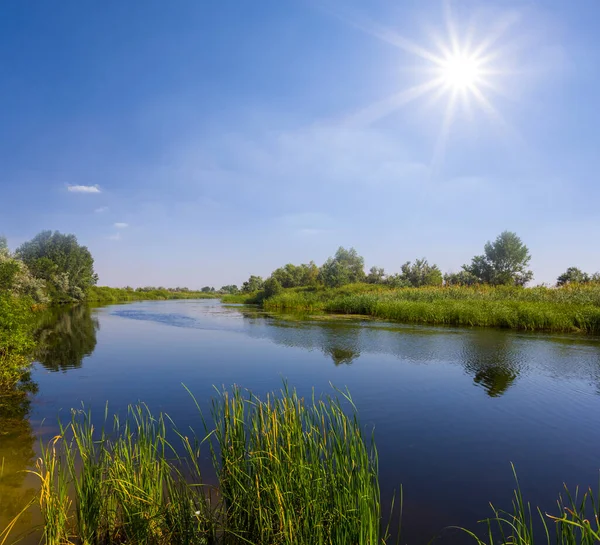 夏日阳光明媚的小河 夏日的乡间风景 — 图库照片