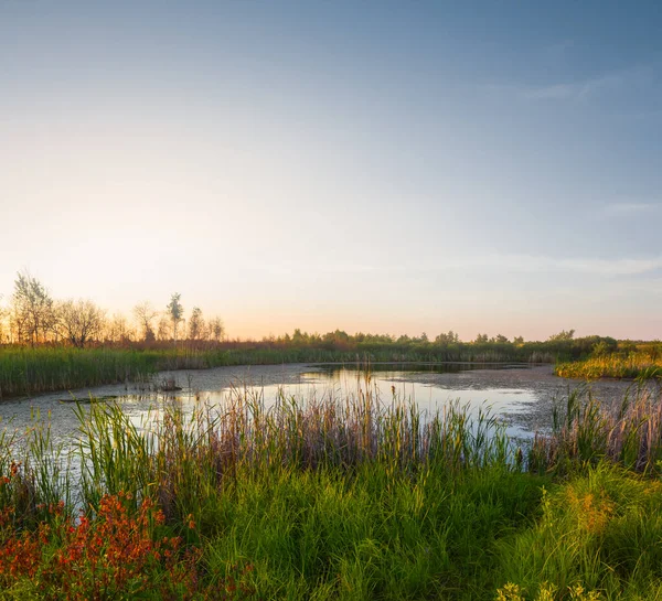 夕日の草原の小さな穏やかな湖 — ストック写真