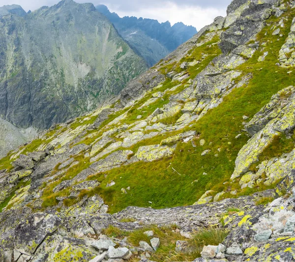 Gros Plan Pente Rocheuse Haute Montagne — Photo