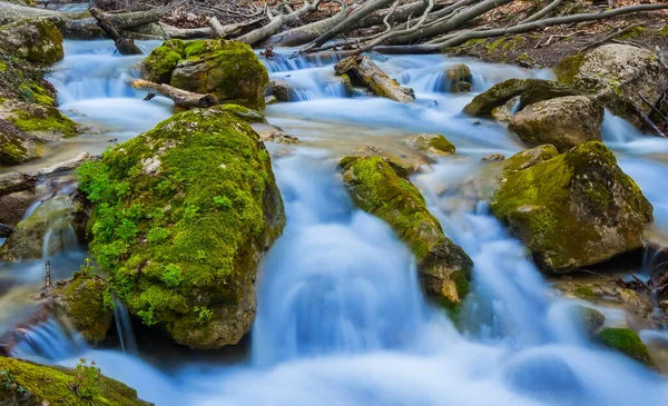 Mały Strumyk Pędzi Zielonym Górskim Kanionie Piękna Scena Górskiej Rzeki — Zdjęcie stockowe