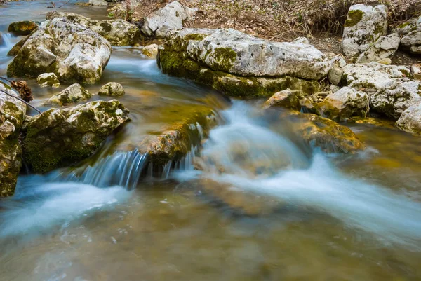 Malý Potok Spěchající Zeleném Horském Kaňonu Krásná Horská Říční Scéna — Stock fotografie