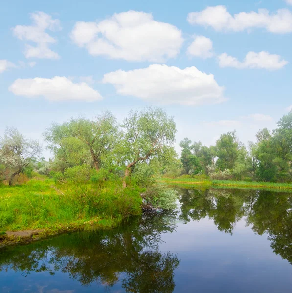 Маленька Спокійна Річка Лісом Узбережжі Під Хмарним Небом Літній Сільський — стокове фото