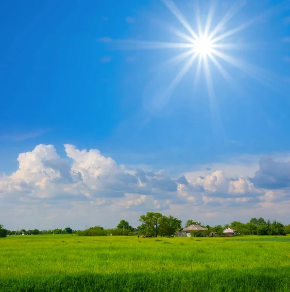 Işıl Işıl Güneş Altındaki Yeşil Kırsal Alan Tarım Endüstrisi Sahnesi — Stok fotoğraf