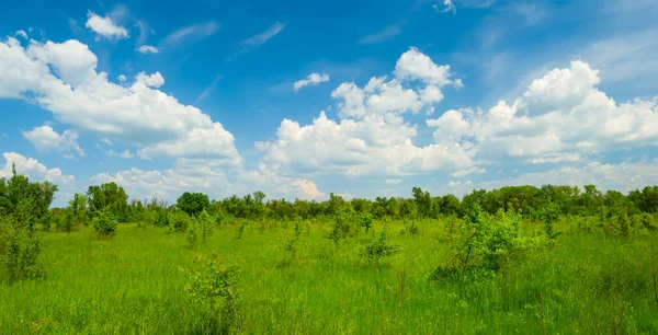 多云的天空下的绿色乡村田野 夏日的乡村风景 — 图库照片