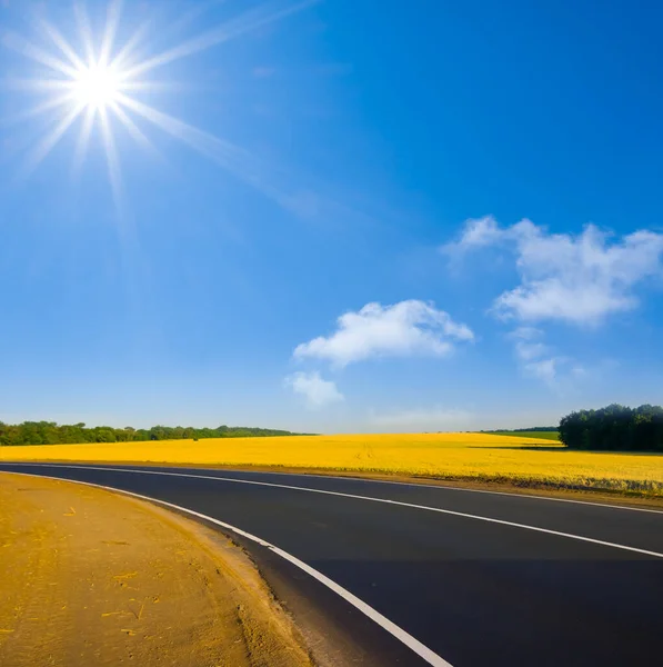 在灿烂的阳光下 柏油路在麦田之间转弯 — 图库照片