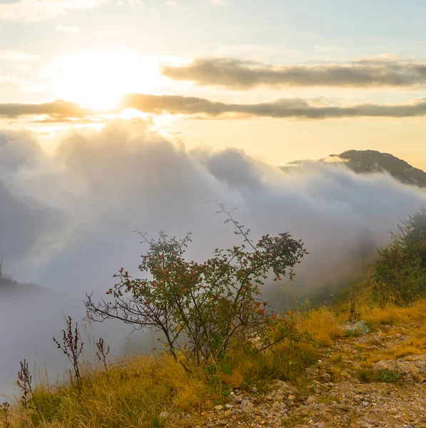 日落时 在浓雾和云彩中爬上斜坡 — 图库照片
