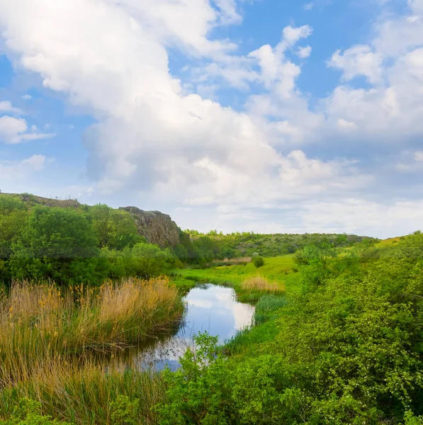 曇り空の下緑の丘の間の小さな穏やかな川の流れ — ストック写真