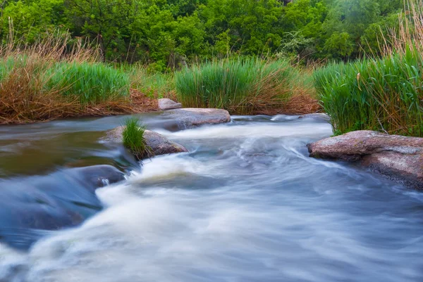 緑の畑の間の小さな川の流れを — ストック写真