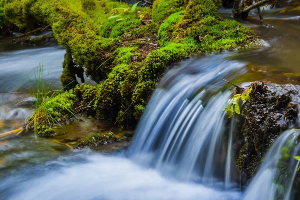 Nahaufnahme Kleiner Wasserfall Gebirgsfluss — Stockfoto