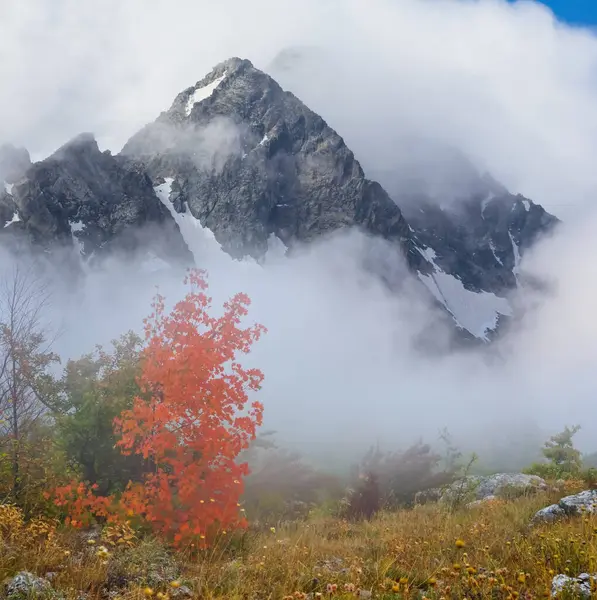 Mount Top Ομίχλη Και Πυκνά Σύννεφα — Φωτογραφία Αρχείου