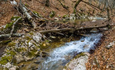 small river rushing in mountain canyon