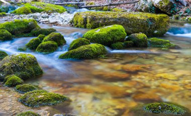 tatlı küçük şelale dağ Nehri üzerinde