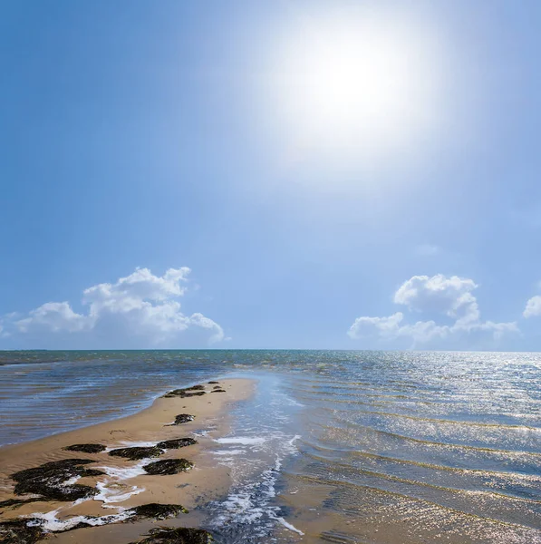 Sea Bay Summer Sunny Day — Stock Photo, Image