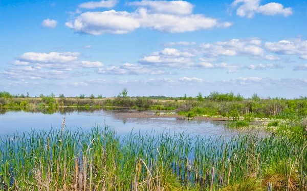 Petit Lac Calme Dans Prairie Sous Ciel Nuageux — Photo