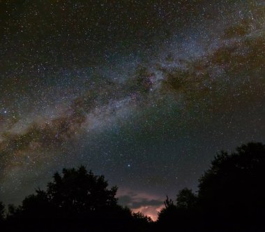 Yıldızlı gökyüzünün altında gece ormanı silueti, açık hava manzarası