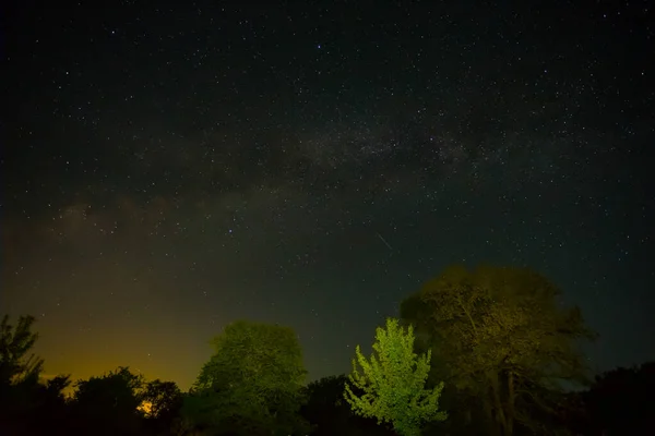 Noche Bosque Resplandor Bajo Cielo Estrellado Noche Paisaje Aire Libre — Foto de Stock