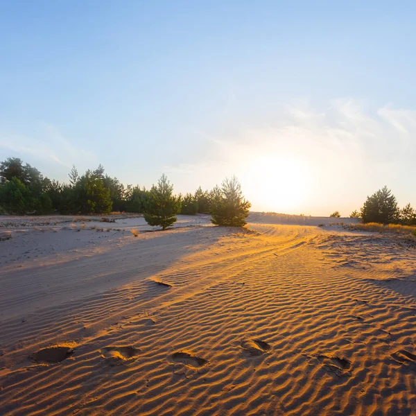 Szeroka Piaszczysta Pustynia Zachodzie Słońca — Zdjęcie stockowe