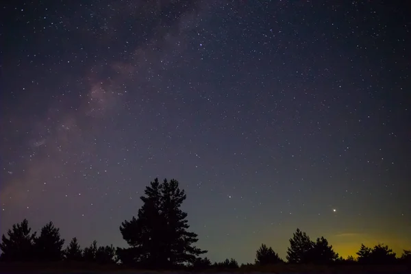 Noční Prérie Borovicemi Pod Hvězdnatou Oblohou Noční Venkovní Krajina — Stock fotografie
