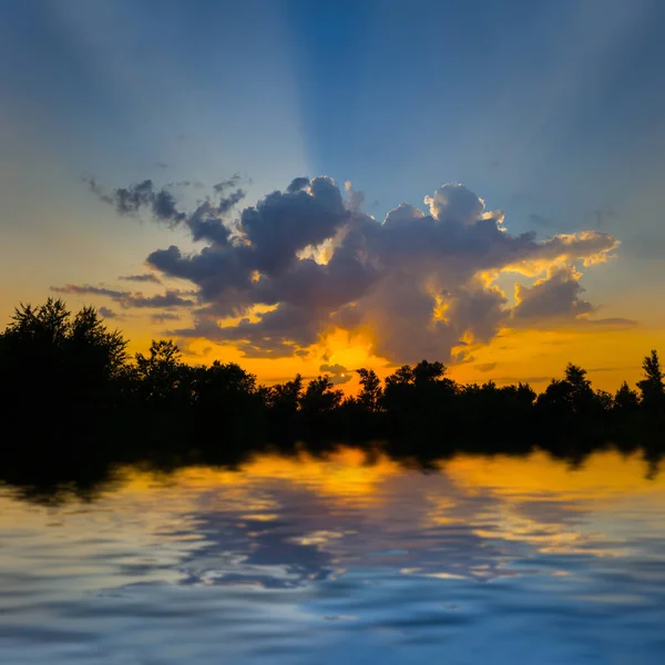 湖畔的森林轮廓在戏剧性的日落 夏日的自然日落背景下 — 图库照片