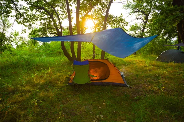 Tienda Campaña Turística Estancia Claro Bosque Atardecer Verano Bosque Camping —  Fotos de Stock