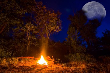 Gece ormanda kamp ateşi, yaz kampı sahnesi.