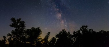 Orman silueti yıldızlı gökyüzünün altında Samanyolu, gece doğa manzarası