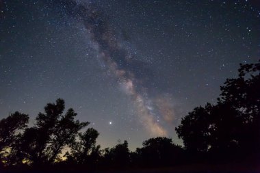 Orman silueti yıldızlı gökyüzünün altında Samanyolu, gece doğa manzarası