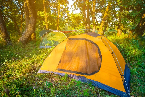Primo Piano Tenda Turistica Arancione Nella Foresta Estiva Scena Campeggio — Foto Stock