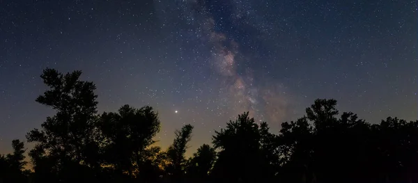 Orman Silueti Yıldızlı Gökyüzünün Altında Samanyolu Gece Doğa Manzarası — Stok fotoğraf