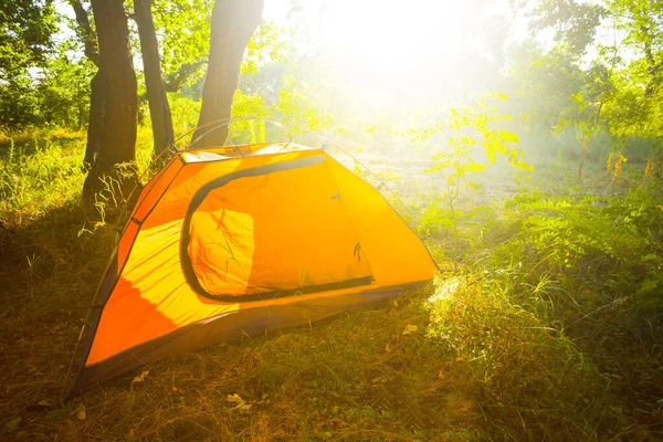 Closeup Orange Touristic Tent Summer Forest Outdoor Summer Camping Scene — Stock Photo, Image