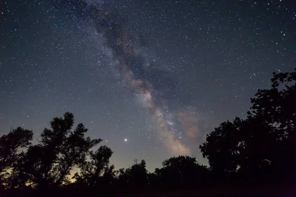 Silueta Del Bosque Bajo Cielo Estrellado Con Vía Láctea Paisaje — Foto de Stock