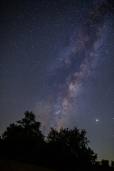 лесной силуэт под звездным небом с млечным путем, ночной открытый природный ландшафт