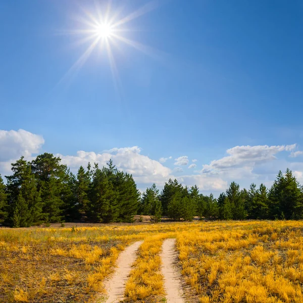 Route Sol Parmi Les Prairies Journée Ensoleillée Été — Photo