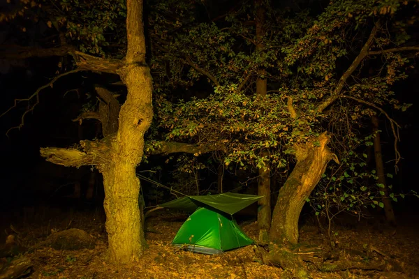 Petite Tente Touristique Séjour Sur Clairière Forêt Nuit — Photo