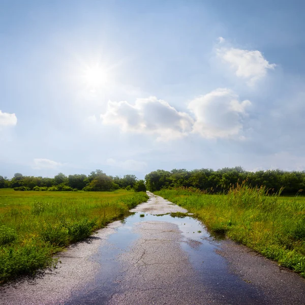 Mokra Droga Asfaltowa Pod Iskrzącym Słońcem Letnie Tło Transportowe — Zdjęcie stockowe