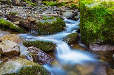 Tatlı küçük mountain brook bir taşların üzerinde acele